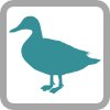 Freshwater Birds logo