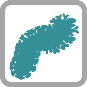 Bryozoa logo