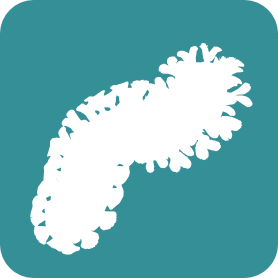 Bryozoa logo