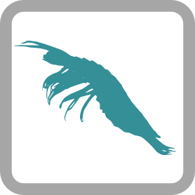 Crustacea-Syncaridea logo
