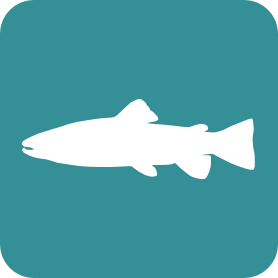 Freshwater Fishes logo