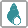 Freshwater Molluscs logo