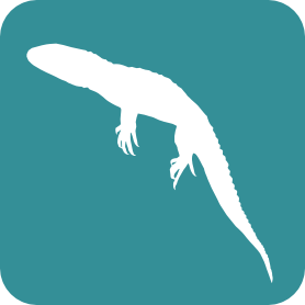 Freshwater Lizards (Reptilia-Lacertilia) logo