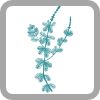 Freshwater Macrophytes logo