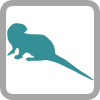 Freshwater Mammals logo
