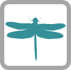 Odonata logo