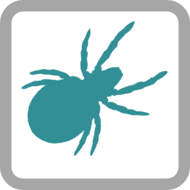 Freshwater Oribatid Mites (Arachnida-Oribatida) logo