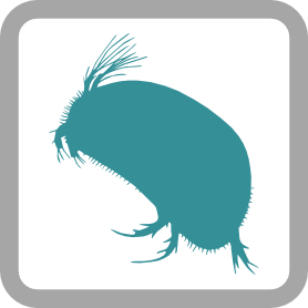 Freshwater Ostracods (Crustacea-Ostracoda) logo