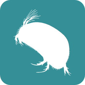 Freshwater Ostracods (Crustacea-Ostracoda) logo