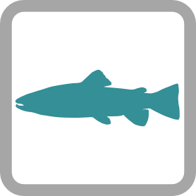 Freshwater Fishes logo