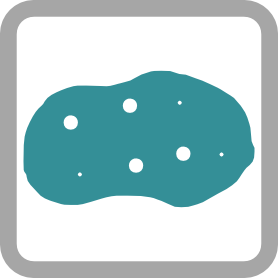 Freshwater Porifera logo