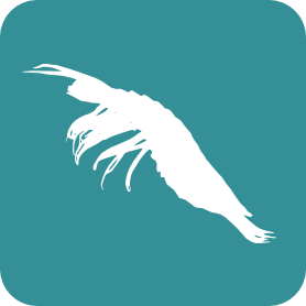 Crustacea-Syncaridea logo